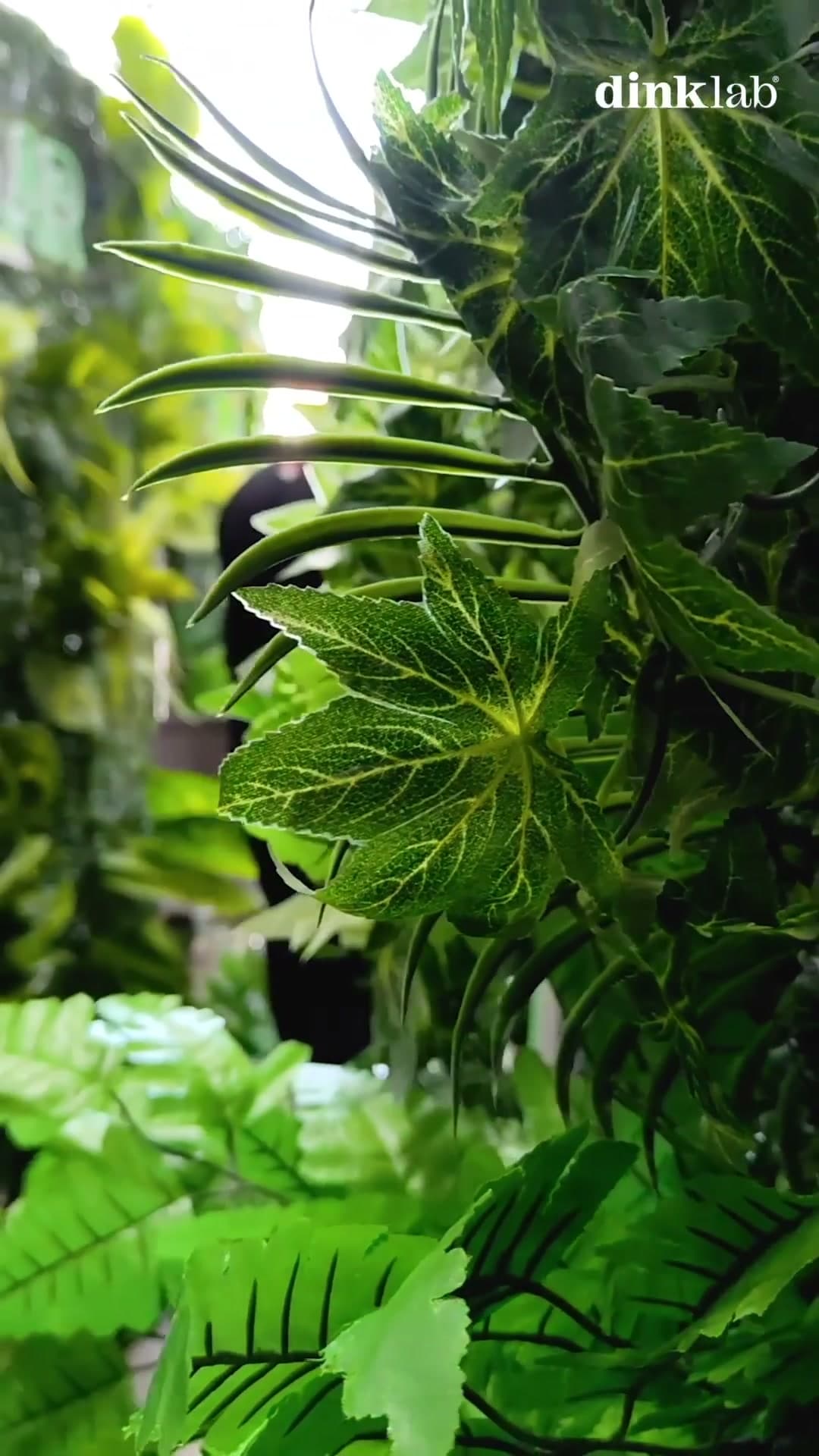 Festival Vallenato BTL interactivo FLA en Valledupar